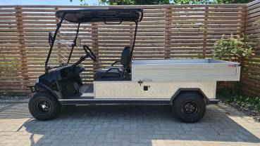 BT-Golfcars "TM1000"